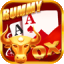 rummy bonus apps icon